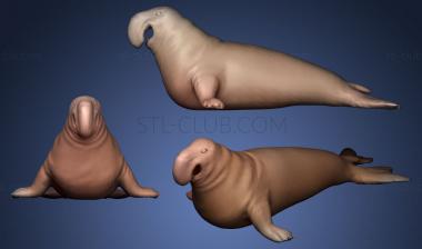 3D model Elephant Seal (STL)